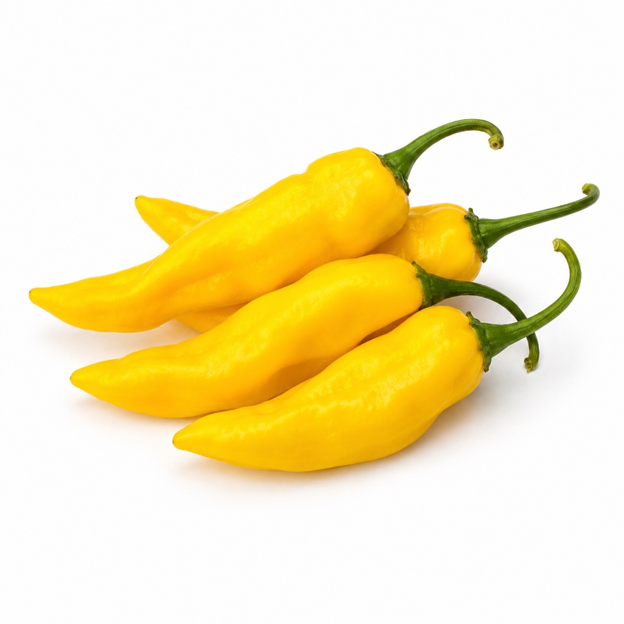 Piments Lemon Ghostly Jalapeño frais, cultivés pour la Ferme Clémentoise.