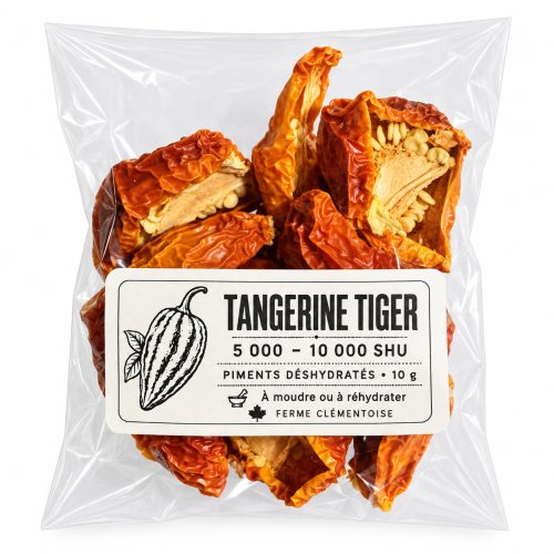Tangerine Tiger